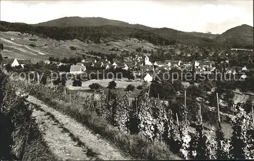 Muellheim Baden Gesamtansicht Weinberge Feldberg Schwarzwald / Muellheim /Breisgau-Hochschwarzwald LKR