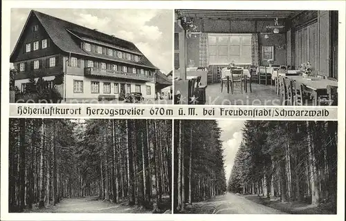 Herzogsweiler Gasthaus Pension zum Hirsch Waldpartie im Schwarzwald / Pfalzgrafenweiler /Freudenstadt LKR