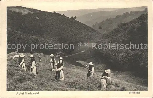 Heimbach Eifel Heuernte Abtei Mariawald / Heimbach /Dueren LKR