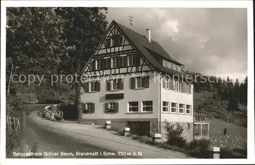 Brandmatt Schwarzwald Gasthaus gruener Baum / Sasbachwalden /Ortenaukreis LKR