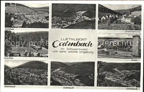 Calmbach Enz  / Bad Wildbad /Calw LKR