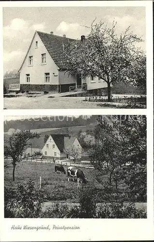 Wilkenroth Haus Wiesengrund Pension / Waldbroel /Oberbergischer Kreis LKR