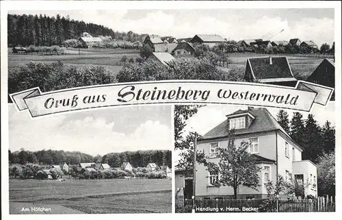 Steineberg  / Steineberg /Vulkaneifel LKR