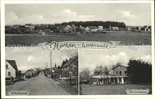 Norken Ferienheim / Norken /Westerwaldkreis LKR