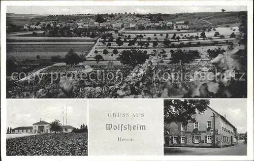 Wolfsheim Gasthaus zum gruenen Baum / Wolfsheim /Mainz-Bingen LKR