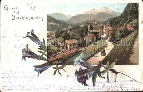 Berchtesgaden Glockenblume / Berchtesgaden /Berchtesgadener Land LKR