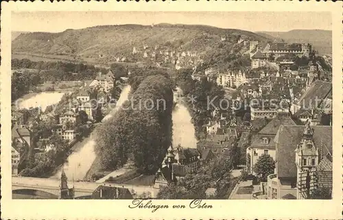 Tuebingen von Osten / Tuebingen /Tuebingen LKR