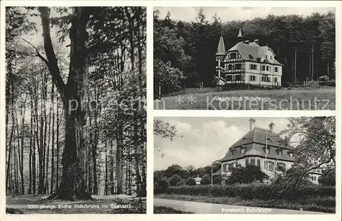 Rohrbrunn Eiche Spessart Jagdschloss Forstamt / Weibersbrunn /Aschaffenburg LKR