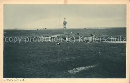 Insel Neuwerk Panorama Kat. Hamburg