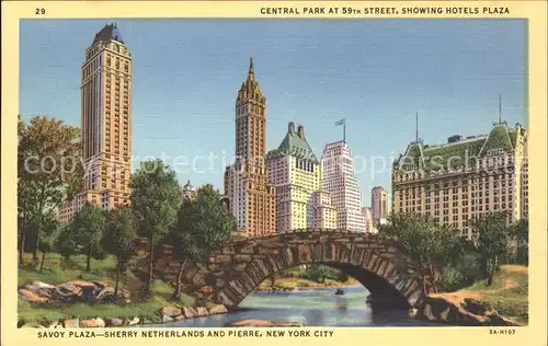 New York City Central Park at 59th Street Bridge Plaza Hotels Skyscraper / New York /
