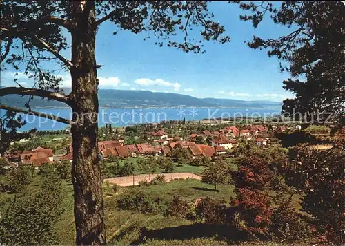 Cheyres mit Lac de Neuchatel Kat. Cheyres