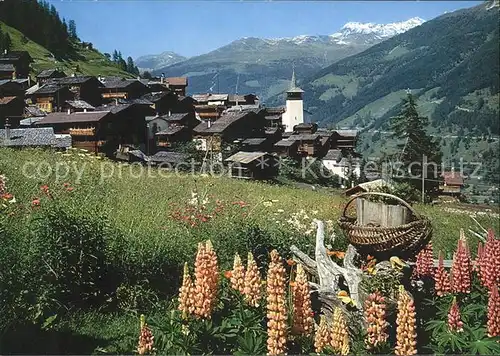 Grimentz Panorama Kat. Grimentz