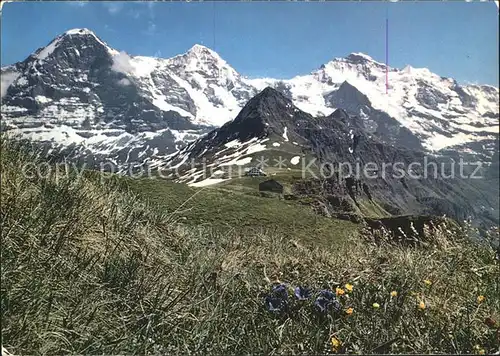 Maennlichen mit Eiger Moench Jungfrau Kat. Maennlichen