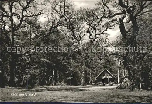 Zetel Partie im Urwald Jagdhaus Kat. Zetel