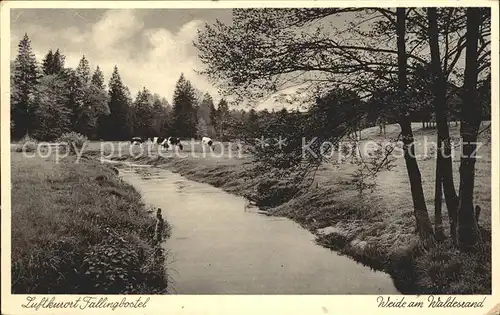 Fallingbostel Weide am Waldesrand Bachlauf Luftkurort Kat. Bad Fallingbostel