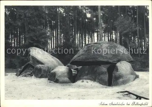 Fallingbostel Siebensteinhaeuser Huenengrab Steingrab Lueneburger Heide Kupfertiefdruck Kat. Bad Fallingbostel