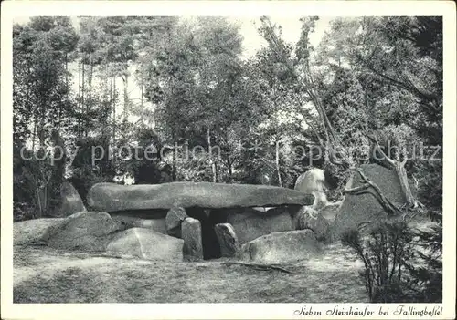 Fallingbostel Siebensteinhaeuser Huenengrab Steingrab Lueneburger Heide Kupfertiefdruck Kat. Bad Fallingbostel