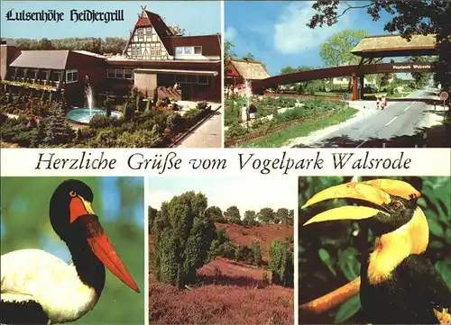 Walsrode Lueneburger Heide Vogelpark Restaurant Luisenhoehe Heidelandschaft Kat. Walsrode
