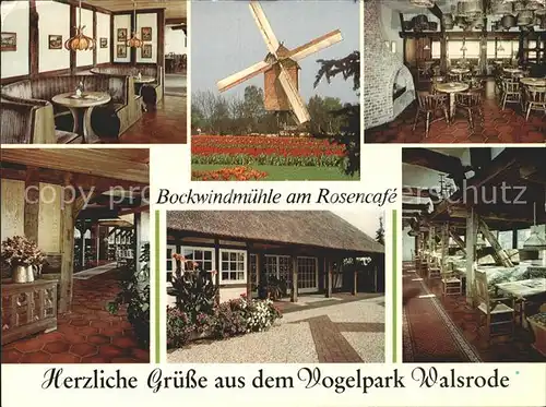 Walsrode Lueneburger Heide Bockwindmuehle Rosencafe Restaurant Vogelpark Kat. Walsrode