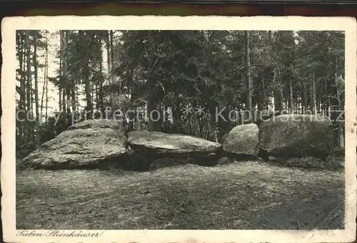 Fallingbostel Sieben Steinhaeuser Steingrab Lueneburger Heide Kat. Bad Fallingbostel