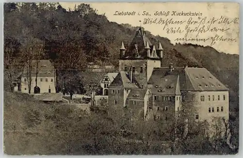 Liebstadt Liebstadt Schloss Kuckuckstein x / Liebstadt /Saechsische Schweiz-Osterzgebirge LKR