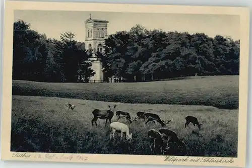 Putbus Ruegen Wildpark Schlosskirche * / Putbus /Ruegen LKR