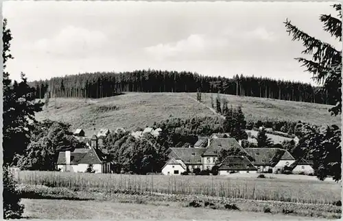 Neuhaus Solling Neuhaus Solling Wildenkiel x / Holzminden /Holzminden LKR