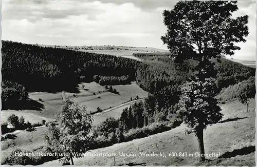 Usseln Usseln Diemeltal * / Willingen (Upland) /Waldeck-Frankenberg LKR