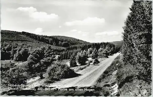 Usseln Usseln alten Hagen * / Willingen (Upland) /Waldeck-Frankenberg LKR