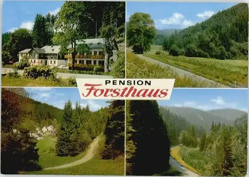 Thiemitz Wald Thiemitz Wald Gaststaette Pension zum Forsthaus * / Schwarzenbach a.Wald /Hof LKR