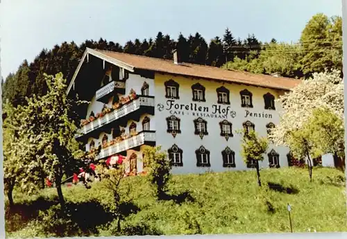 Eisenaerzt Eisenaerzt Pension Forellenhof * / Siegsdorf /Traunstein LKR