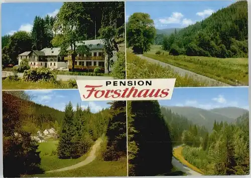 Thiemitz Wald Thiemitz Wald Gaststaette Pension zum Forsthaus * / Schwarzenbach a.Wald /Hof LKR