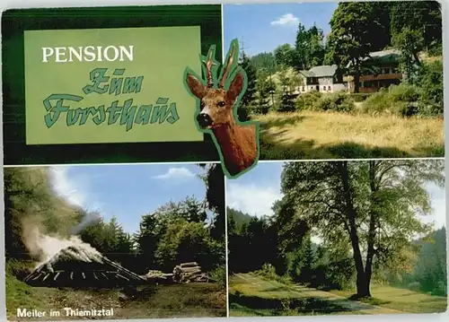 Thiemitz Wald Thiemitz Wald Gaststaette Pension zum Forsthaus * / Schwarzenbach a.Wald /Hof LKR