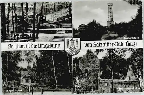 Salzgitter Salzgitter Bismarckturm Veppstedter Ruine * / Salzgitter /Salzgitter Stadtkreis