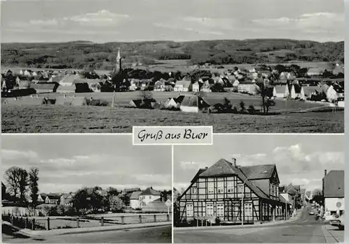 Buer Wiehengebirge Buer Wiehengebirge  * / Melle /Osnabrueck LKR