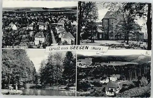 Seesen Harz Seesen Kurpark Burg Sehusa * / Seesen /Goslar LKR