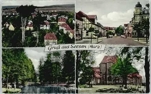 Seesen Harz Seesen Kurpark Burg Sehusa * / Seesen /Goslar LKR