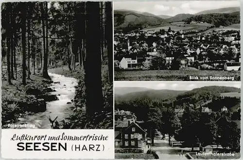 Seesen Harz Seesen Sonnenberg Lautenthalerstrasse * / Seesen /Goslar LKR