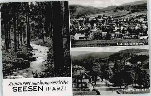 Seesen Harz Seesen Forellenstieg Sonnenberg * / Seesen /Goslar LKR