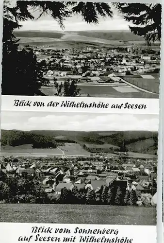 Seesen Harz Seesen Wilhelmshoehe Sonnenberg * / Seesen /Goslar LKR