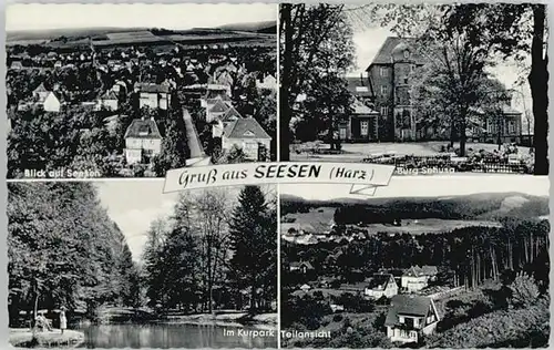 Seesen Harz Seesen Kurpark Burg Sehusa * / Seesen /Goslar LKR