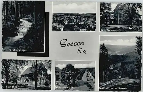 Seesen Harz Seesen Forellenstieg Sonnenberg * / Seesen /Goslar LKR