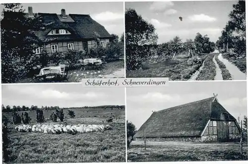 Schneverdingen Schneverdingen Schaeferhof * / Schneverdingen /Soltau-Fallingbostel LKR