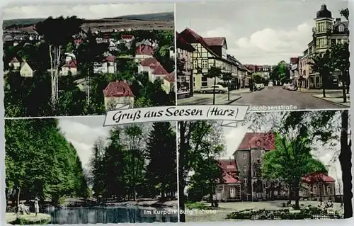 Seesen Harz Seesen Jacobsenstrasse Kurpark Burg Sehusa * / Seesen /Goslar LKR