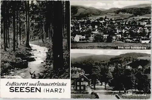 Seesen Harz Seesen Lautenthalerstrasse Sonnenberg * / Seesen /Goslar LKR