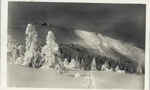 Feldberg Schwarzwald Feldberg Schwarzwald Zastler x / Feldberg (Schwarzwald) /Breisgau-Hochschwarzwald LKR