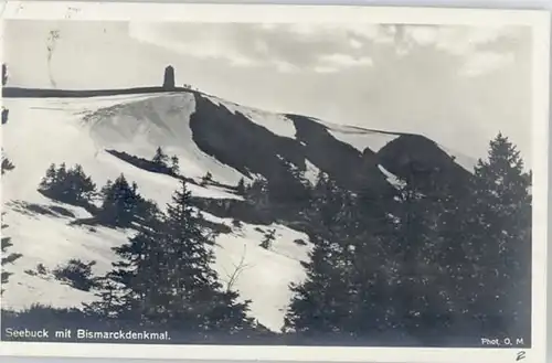 Feldberg Schwarzwald Feldberg Schwarzwald Seebuck Bismarck Denkmal  x / Feldberg (Schwarzwald) /Breisgau-Hochschwarzwald LKR