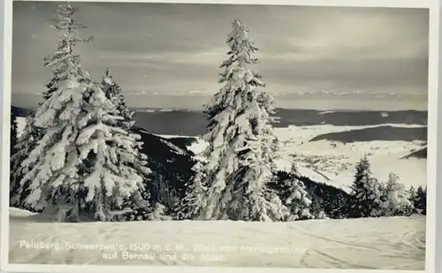 Feldberg Schwarzwald Feldberg Schwarzwald Bernau * / Feldberg (Schwarzwald) /Breisgau-Hochschwarzwald LKR