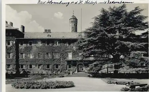 Bad Homburg Bad Homburg Zedernbaum Schloss  * / Bad Homburg v.d. Hoehe /Hochtaunuskreis LKR