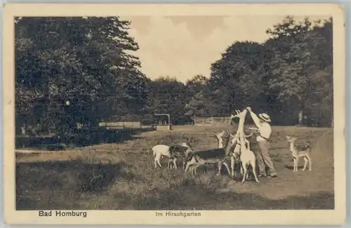 Bad Homburg Bad Homburg Hirschgarten x / Bad Homburg v.d. Hoehe /Hochtaunuskreis LKR